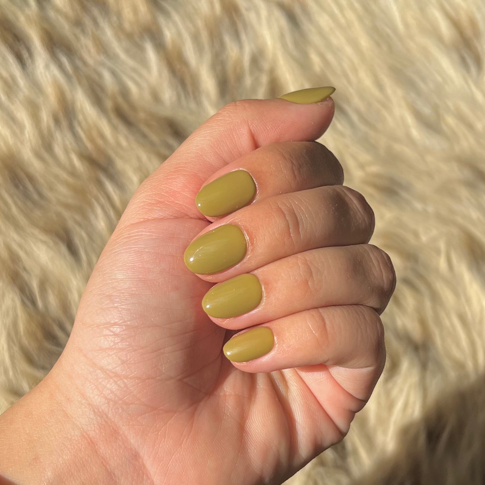 Kaki