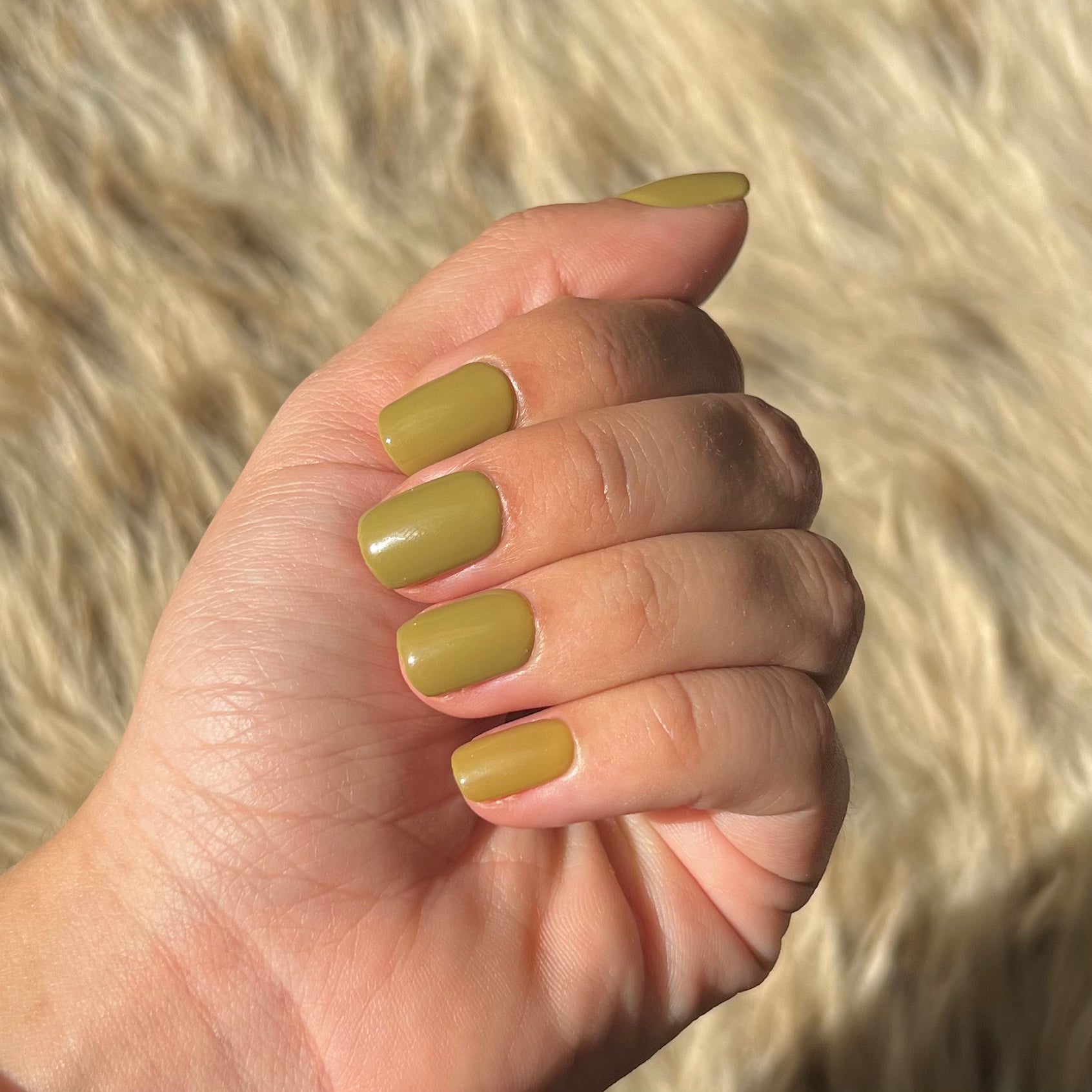 Kaki